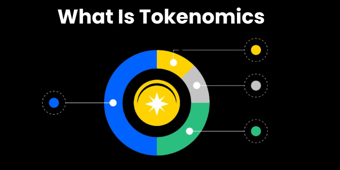 What is Tokenomics and Why It Is Very Important to Crypto